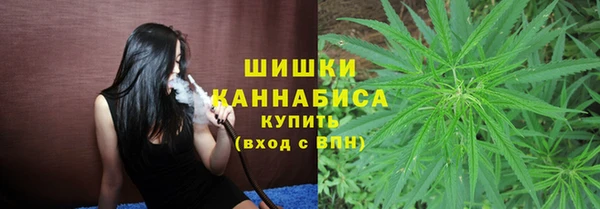 индика Бронницы