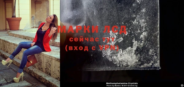 индика Бронницы