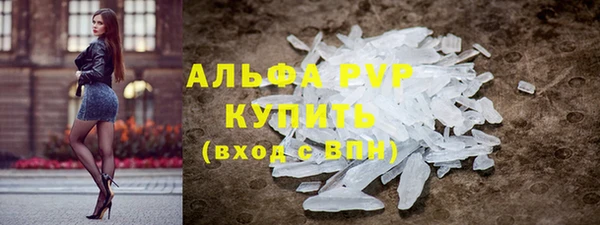 индика Бронницы