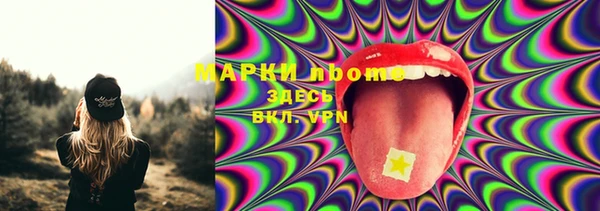 индика Бронницы