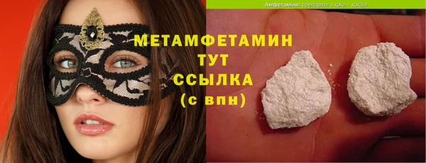 индика Бронницы