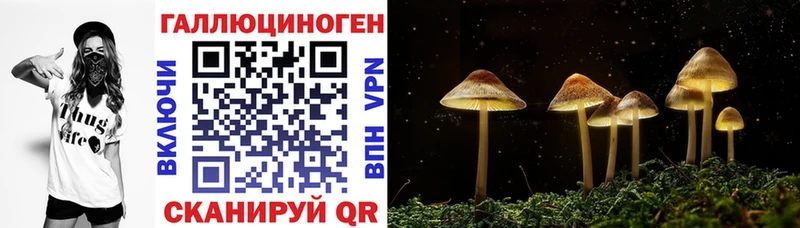 Псилоцибиновые грибы MAGIC MUSHROOMS Новый Оскол