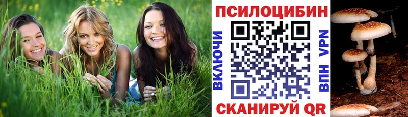 цена   Новый Оскол  Псилоцибиновые грибы ЛСД 